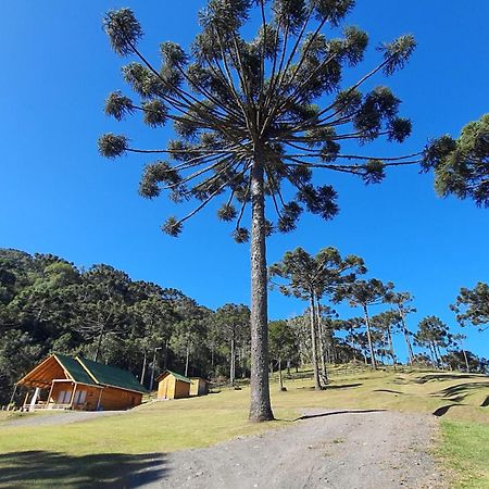 Casa De Campo Quinta Do Vale - Familia Urubici Eksteriør billede
