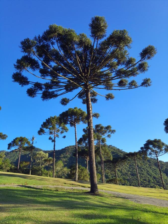 Casa De Campo Quinta Do Vale - Familia Urubici Eksteriør billede