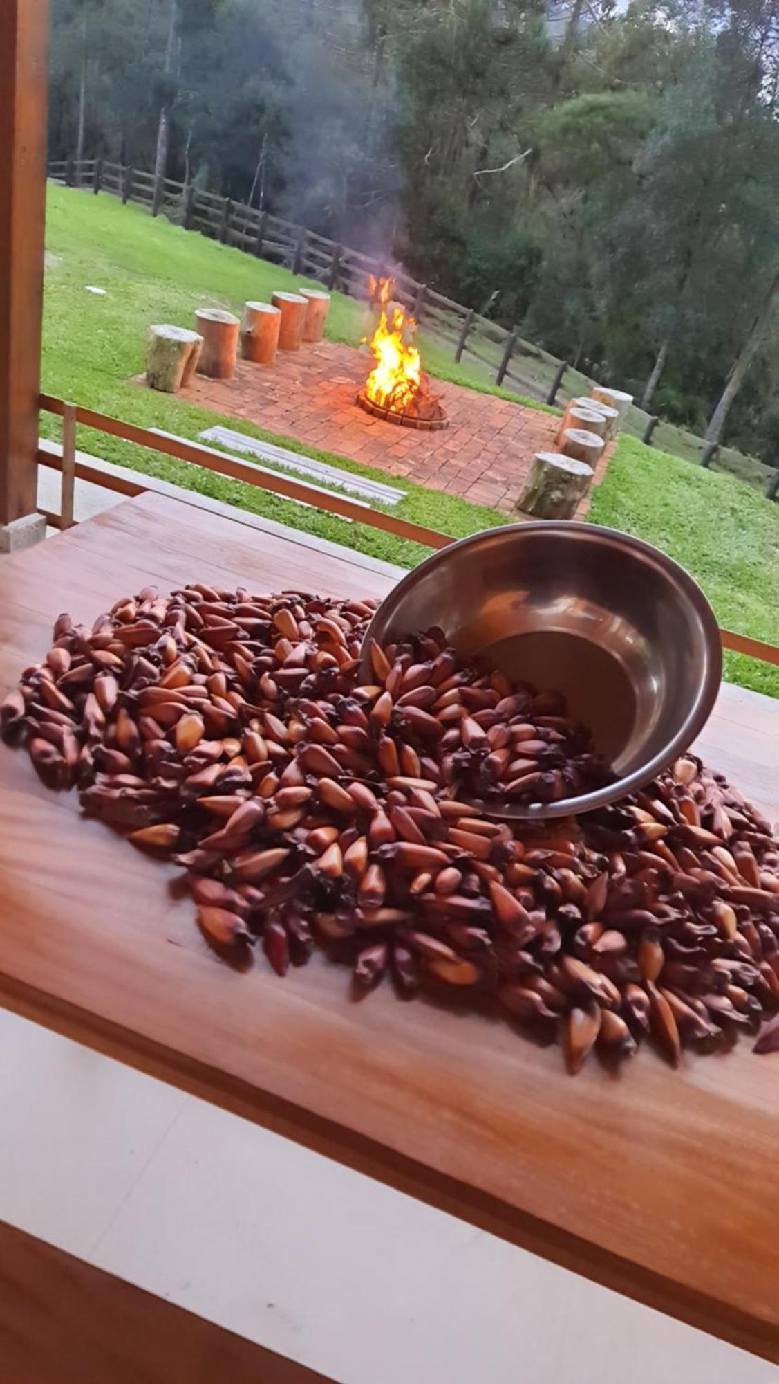 Casa De Campo Quinta Do Vale - Familia Urubici Eksteriør billede