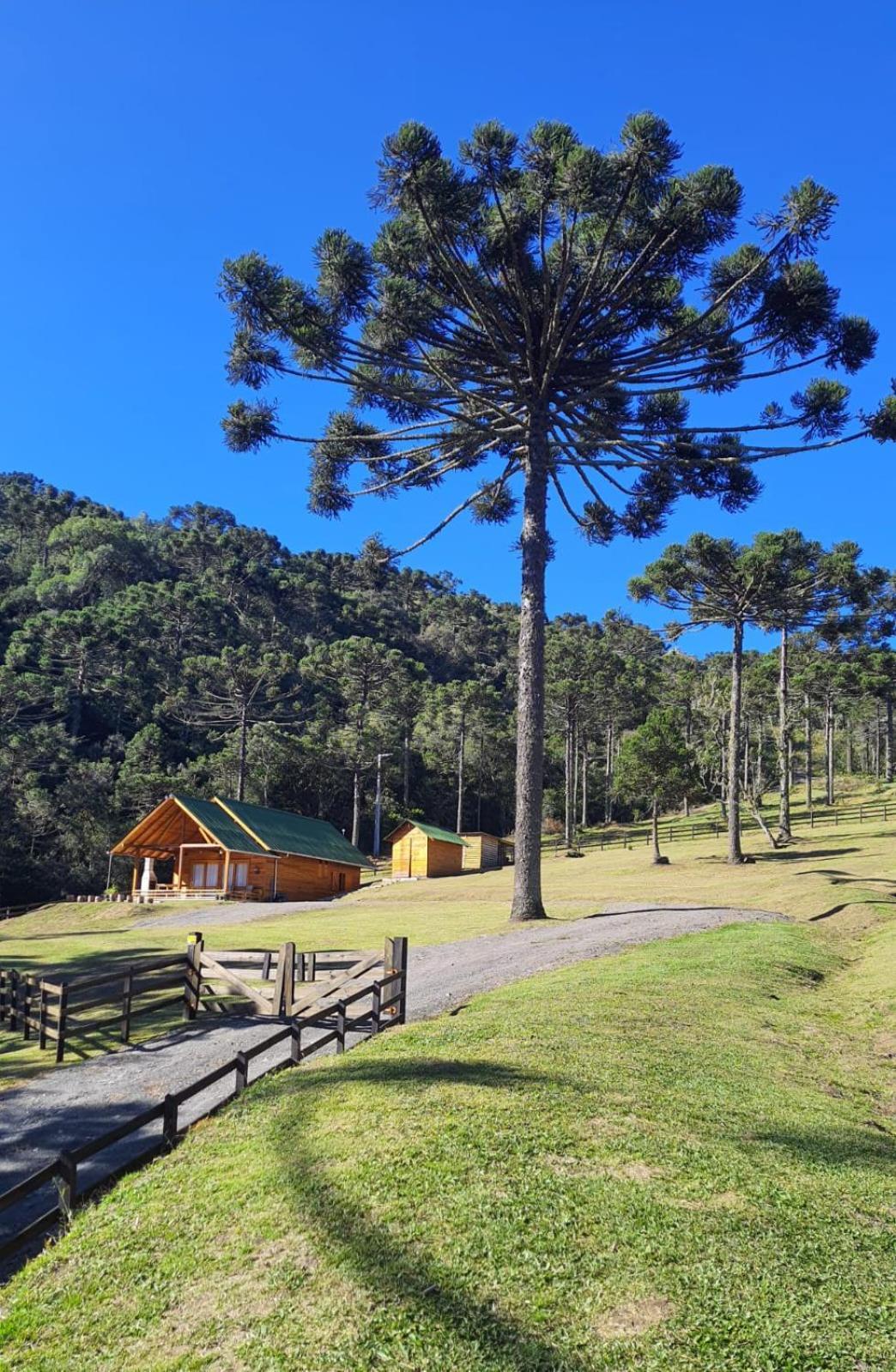 Casa De Campo Quinta Do Vale - Familia Urubici Eksteriør billede