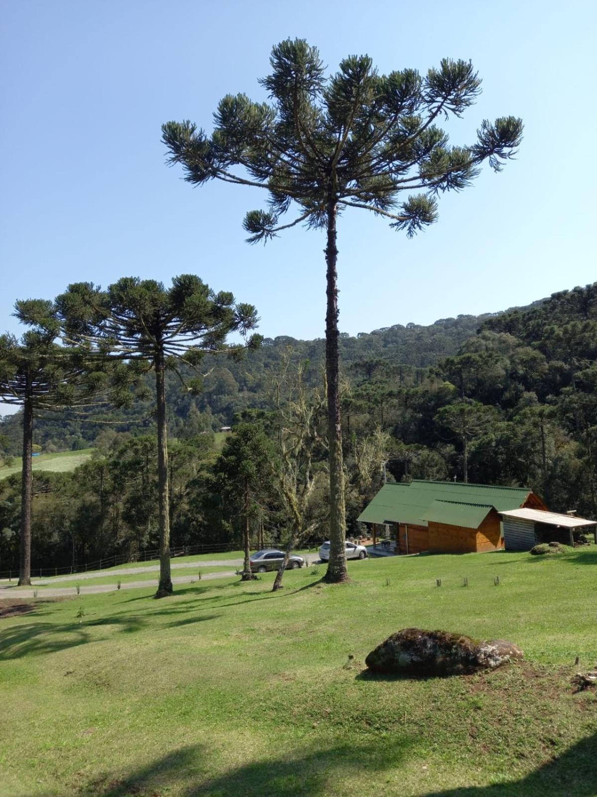 Casa De Campo Quinta Do Vale - Familia Urubici Eksteriør billede
