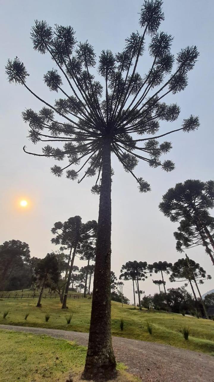 Casa De Campo Quinta Do Vale - Familia Urubici Eksteriør billede